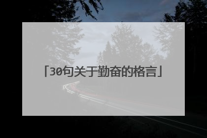 30句关于勤奋的格言