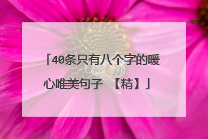 40条只有八个字的暖心唯美句子 【精】