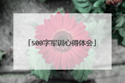 500字军训心得体会