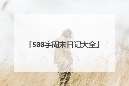 500字周末日记大全