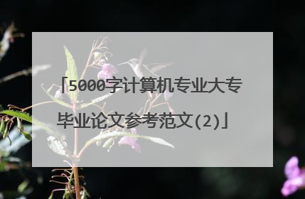 5000字计算机专业大专毕业论文参考范文(2)