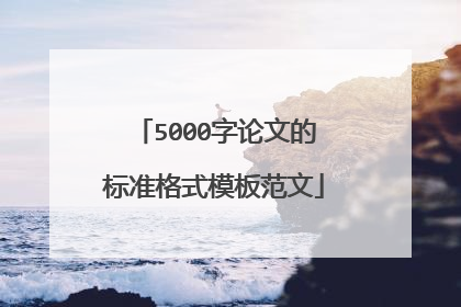 5000字论文的标准格式模板范文