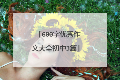 600字优秀作文大全初中3篇