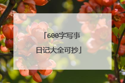 600字写事日记大全可抄