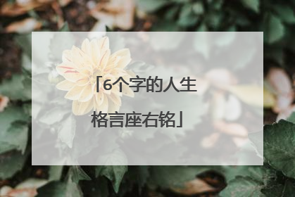 6个字的人生格言座右铭
