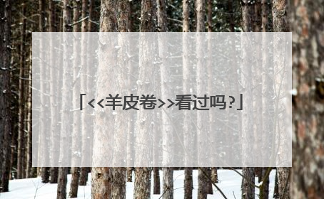 <<羊皮卷>>看过吗?