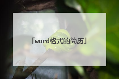 word格式的简历