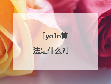 yolo算法是什么?