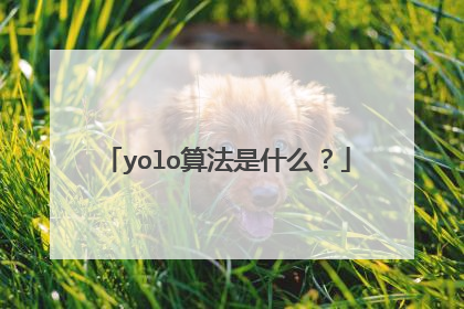 yolo算法是什么？