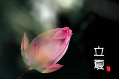 有哪些描写夏至时节的谚语和诗歌？