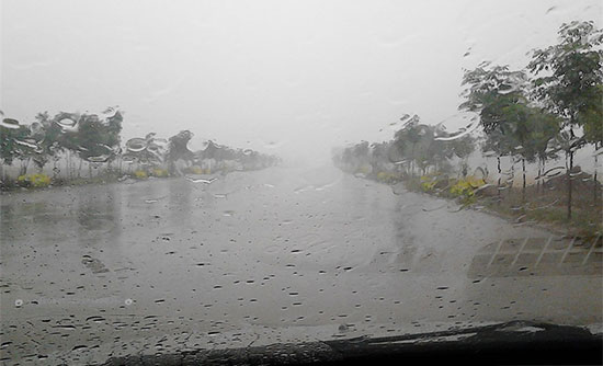 梦见大雨倾盆到处是水什么意思 梦见大雨倾盆到处是水什么预兆