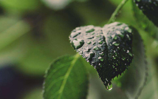 喜欢下雨天的心情说说 下雨了想发个朋友圈