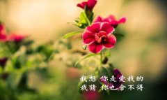 38妇女节问候短信 给自己三八妇女节祝福短句2021