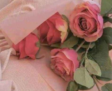 三八妇女节给老婆的情话 2021三八节对老婆说的暖心话