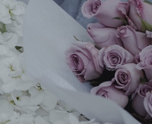 三八妇女节祝福语说说 2021妇女节一句话说说好听