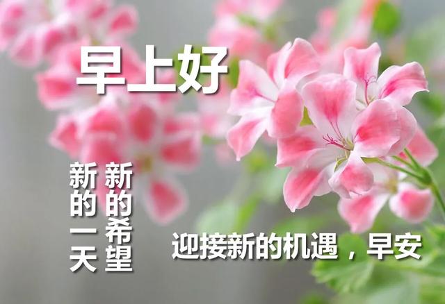 新的一天最美早晨好问候表情图片带字温馨