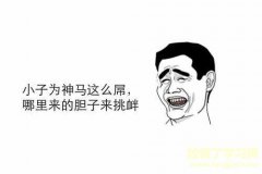 正宗河南方言骂人-河南话骂人的方言句子