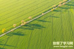 励志句子唯美简短 2021正能量奋斗的句子