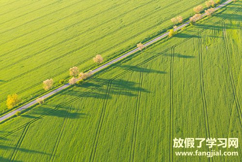 励志句子唯美简短 2020正能量奋斗的句子