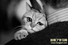 2021国庆假期结束说说 朋友圈发国庆节假期即将结束的心情说说