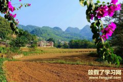 农家谚语-农家谚语或俗语