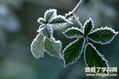 霜降的谚语-关于霜降的谚语或诗句