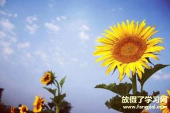 关于人生感悟的句子 励志-自我激励的人生励志感悟句子