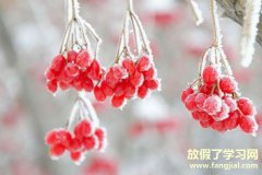 霜降谚语-霜降的谚语关于霜降节气农谚有哪些