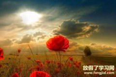 关于求复合的句子 分手后复合感动的情话