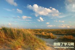 英语谚语大全励志篇-有关励志的英语谚语