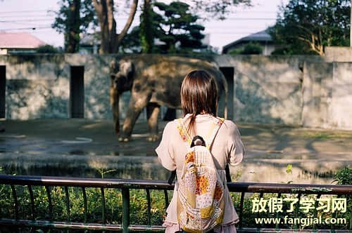 赞美母亲的话感动真实100字一段话 用一两句话赞美母亲歌颂母亲